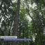 Le Parc du Jorat, entre son passé et son futur