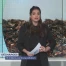 16 millions contre la pollution