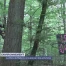 Le Bois de Ballens occupé par des activistes