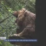 Pas de vacances pour les animaux de Servion