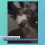 Une agression qui scandalise à Lausanne