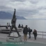 Découvrir - Freddie Tours