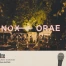 Festival Nox Orae