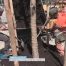 4 platanes sur la place Sainte-Catherine