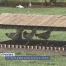 Un cas de grippe aviaire proche du canton