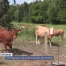 Un projet pour valoriser le grenier de la Suisse
