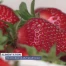 Dix ans de produits frais et locaux