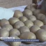 Les pommes de terre souffrent de la sécheresse