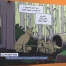 Des dessins pour les espèces en danger