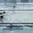 Record pour les 24 heures de natation