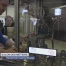 Le Salon des Métiers a ouvert ses portes