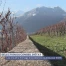 Les vins et le fromage d'excellence vaudois pour 2026