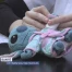 Au CHUV, un hôpital pour les nounours