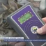 Les vétérinaires demandent un puçage obligatoire des chats