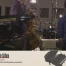 Jamie Cullum