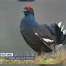 Nature : protéger sans tout interdire
