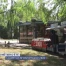 Depuis plus de 60 ans, le petit train de Vidy fait rêver