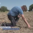 Agriculture: coup de chaud sur les récoltes