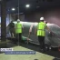 La baleine déménage du MHNF