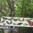 Le Papiliorama attire toujours autant à Chiètres