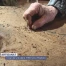 Coup de scie dans 4'300 ans d'histoire