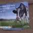 Un plan d'action pour la filière du lait