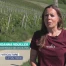 Le Vully résiste