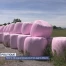 Politique : moins de paperasse pour les agriculteurs
