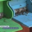 Ça bourdonne dans les ruches