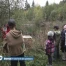 Des classes primaires en forêt
