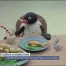 Une étude lausannoise raconte Pingu et son impact