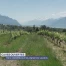 Les Caves Ouvertes offrent de la visibilité aux vignerons
