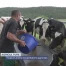 Toujours moins d'exploitations agricoles dans le canton