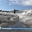 De la laine de mouton pour protéger les glaciers