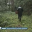 Lausanne sans office de contrôle de champignons