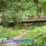 Forêt de Bouleyres : une partie fermée au public en raison des risques liés à la sécheresse