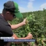 Sécheresse : un agriculteur face à la chaleur et au manque de pluie