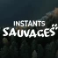 Instants sauvages
