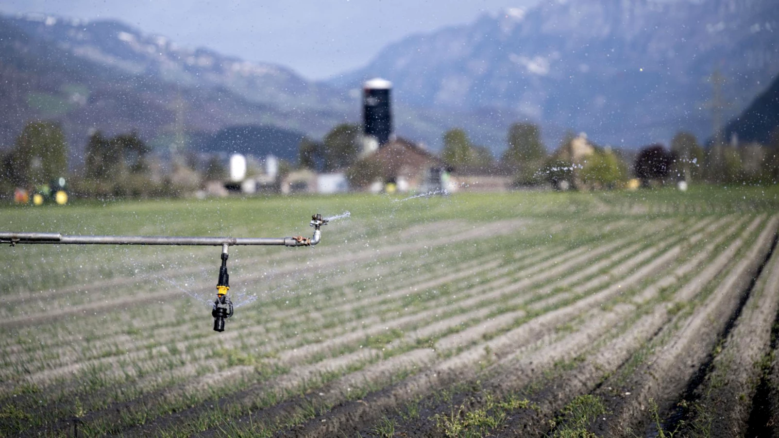 Sécheresse record en août en Europe et en Méditerranée