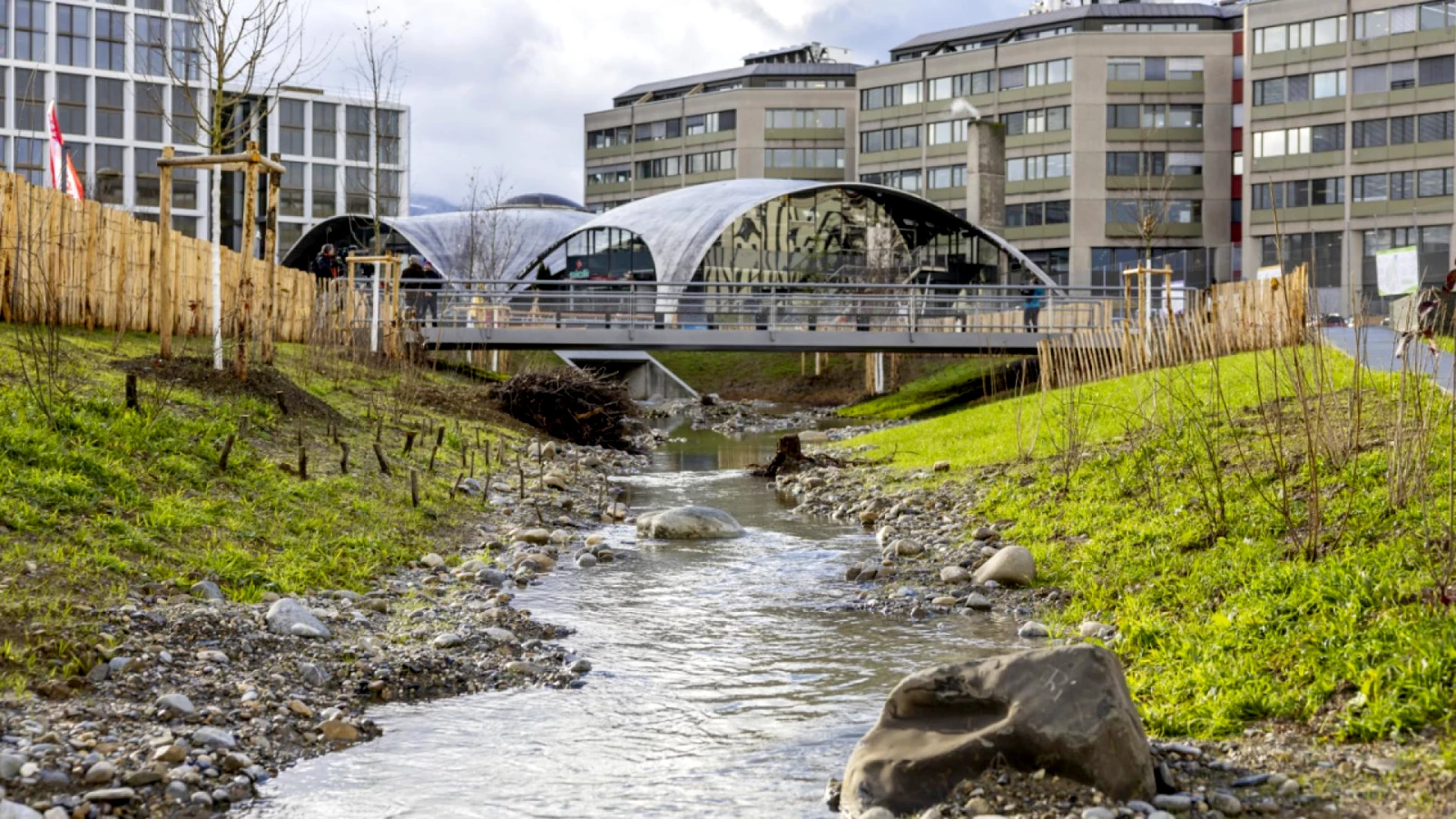 Renaturation de la Drize : colonne vertébrale du PAV à Genève