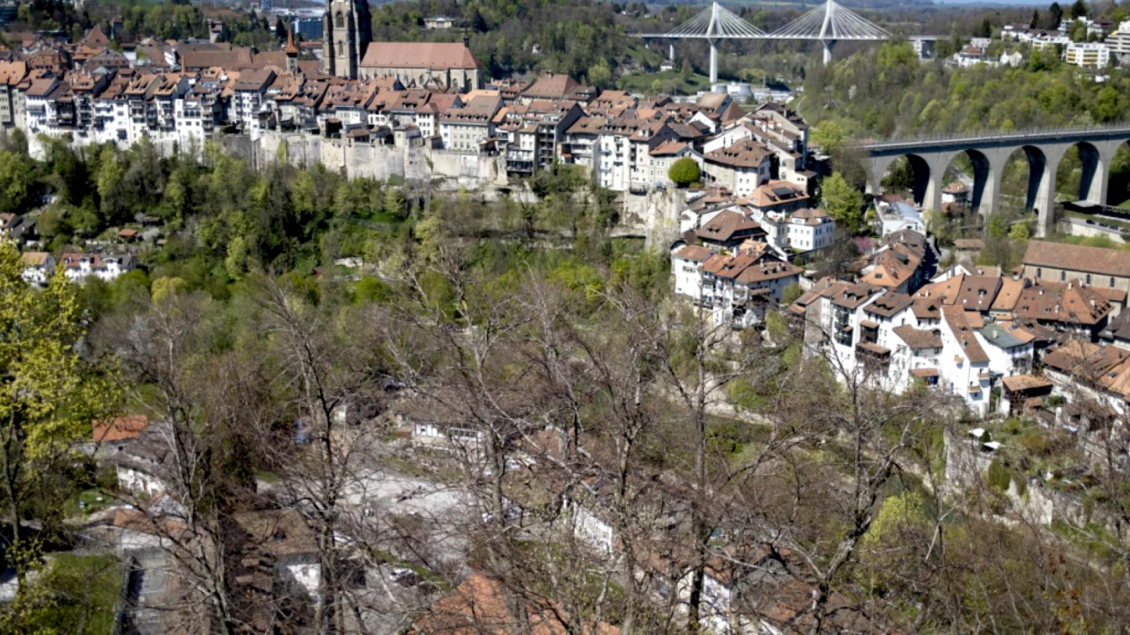 Fribourg, Bulle et l’État rejoignent l'ECCAR pour combattre le racisme