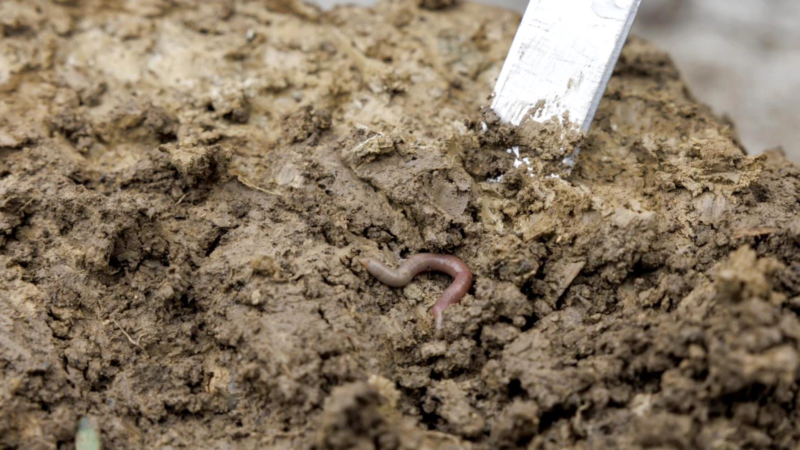 Agroscope lance la première station d'essais sur sols au Gros-de-Vaud