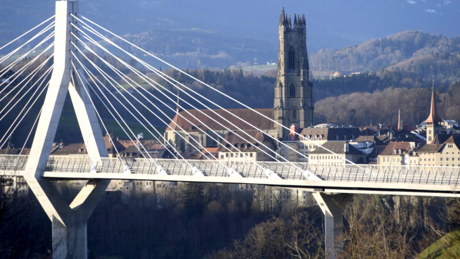 Fribourg accueille le congrès international Bioket sur la bioéconomie