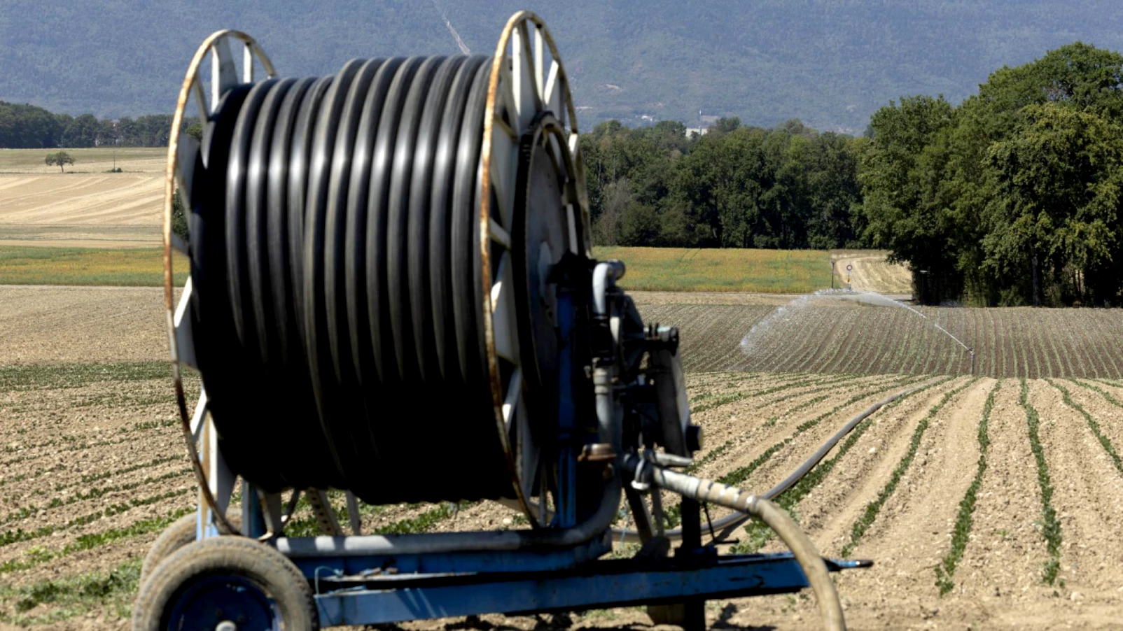 Genève crée des réseaux d'eau brute pour l'irrigation agricole