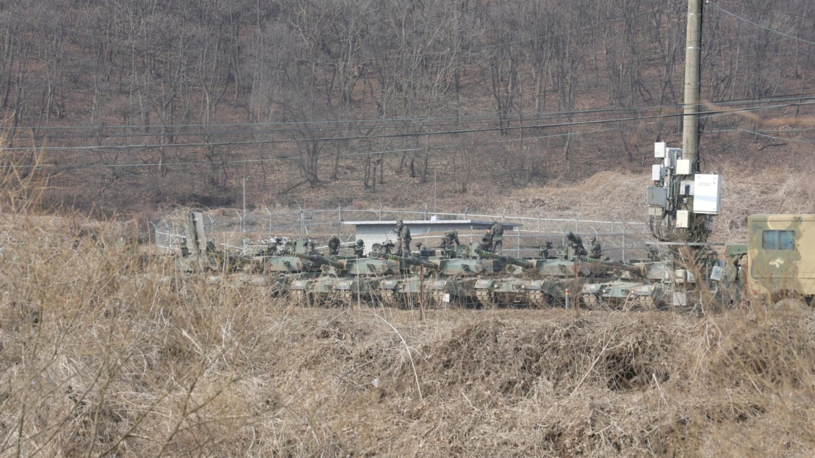 Anna Grichting à Genève: frontières transformées en zones écologiques