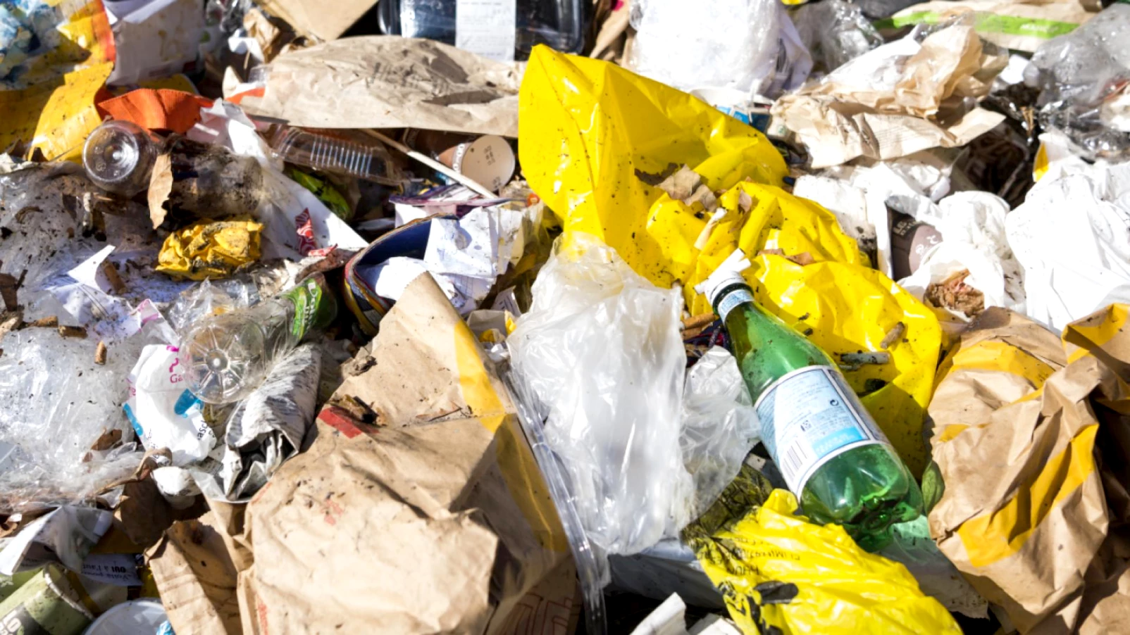 Fribourg durcit la répression : amendes pour déchets sauvages