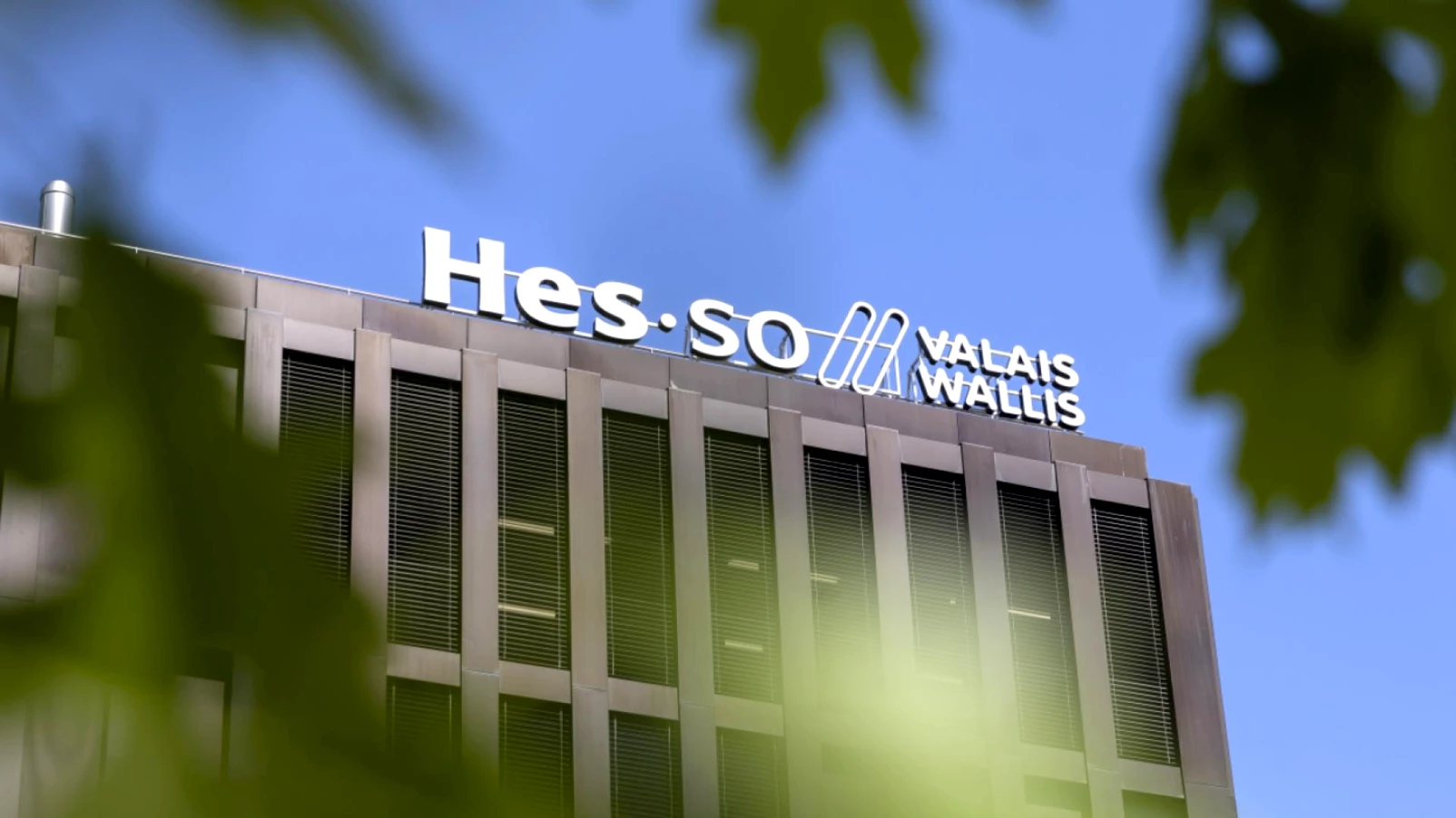 Nouvelle filière ES en éducation sociale en Valais dès août 2027