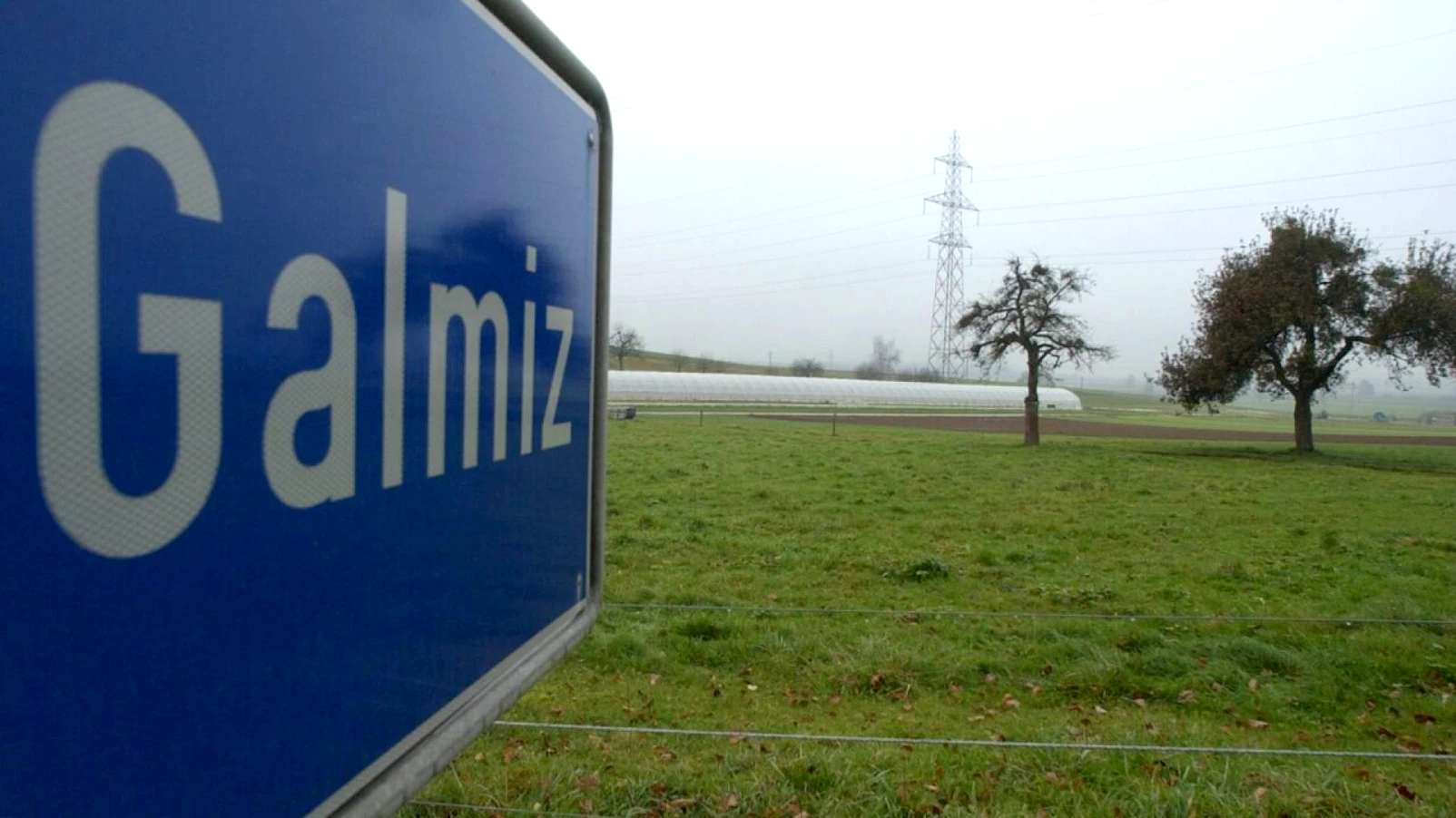 Pollution du canal de Galmiz : plusieurs centaines de poissons morts