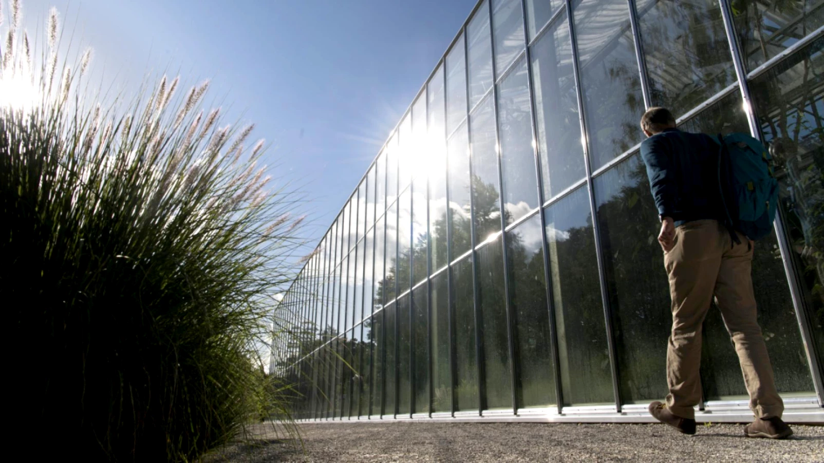 Rétrospective du Musée de l'absurde au jardin botanique de Lausanne