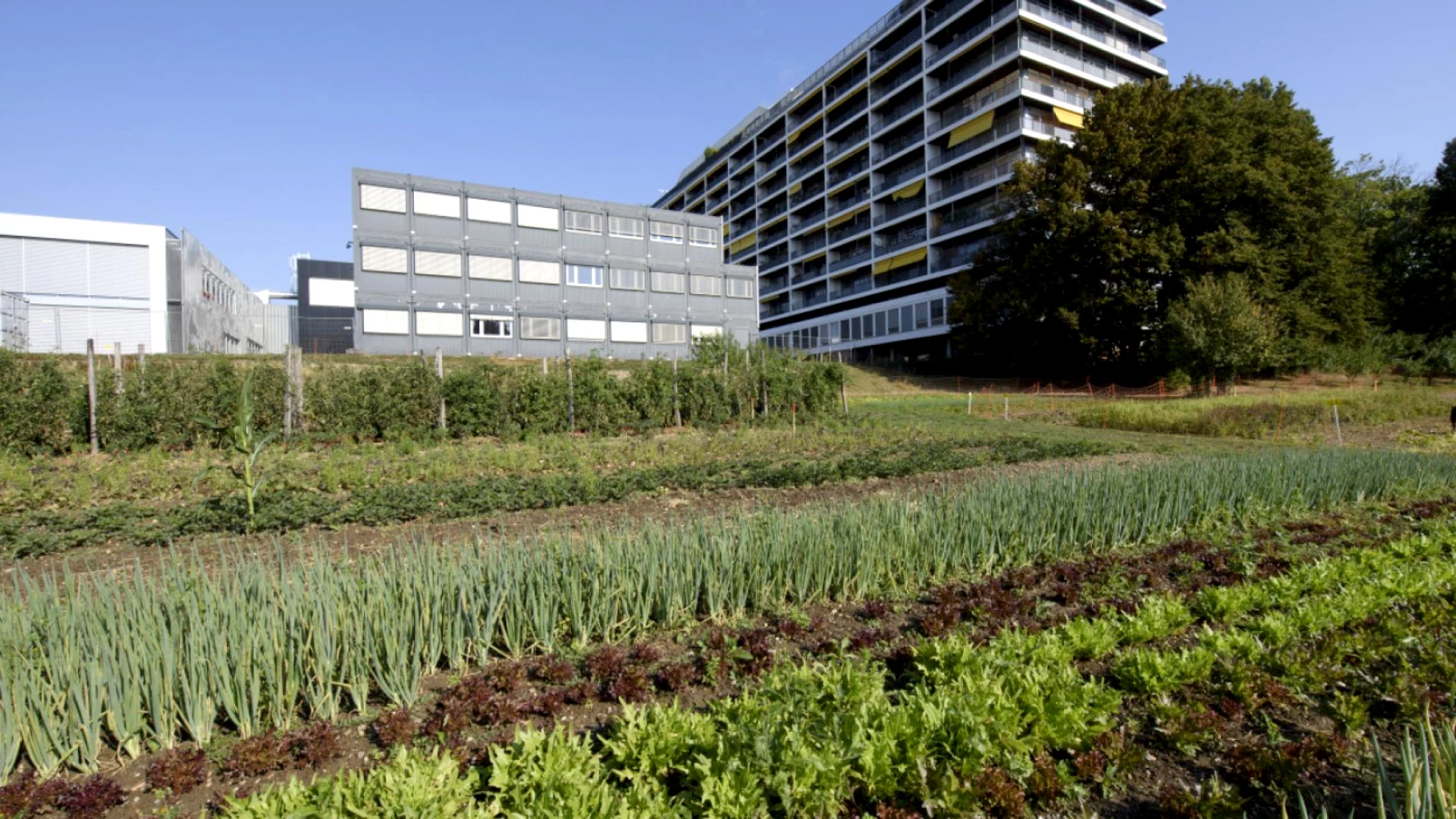 Genève : festival 48 heures de l'agriculture urbaine (24-26 avril)
